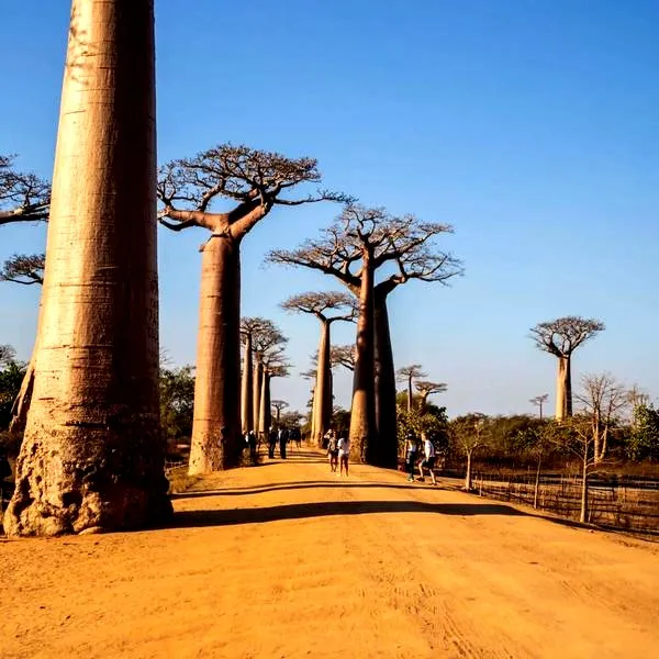 Ile trwa lot z Warszawy na egzotyczny Madagaskar?