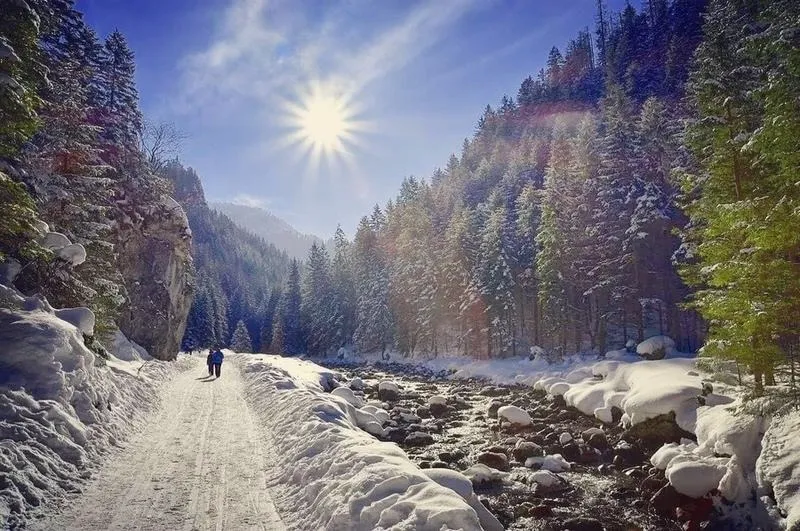 Jak łatwo dojechać na Dolinę Kościeliską? Praktyczny poradnik dla turystów