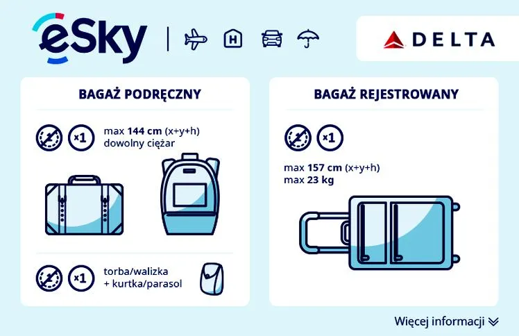 Bagaż rejestrowany