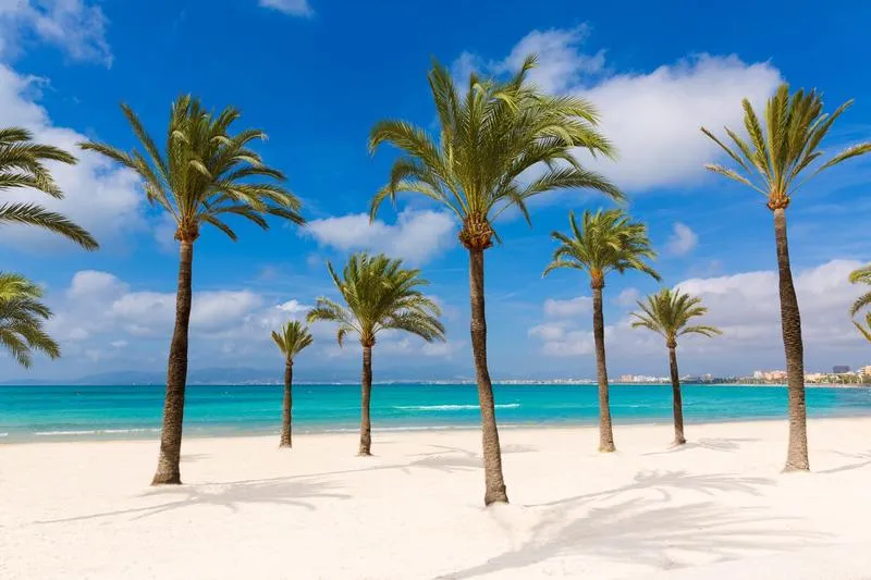 Czas lotu Majorka Barcelona