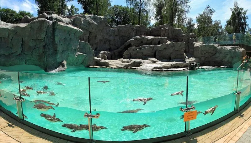 Dojazd z dworca pkp do zoo w krakowie