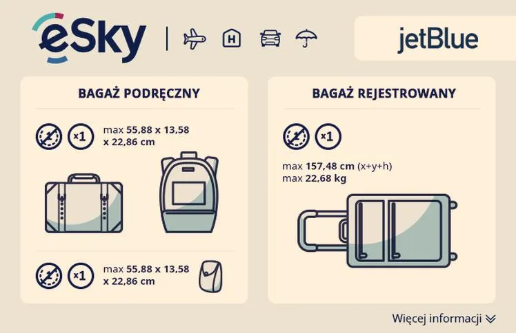 Koszty bagażu lotniczego
