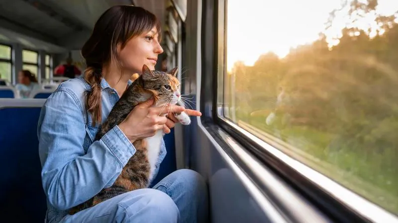 Minimalizacja stresu kota