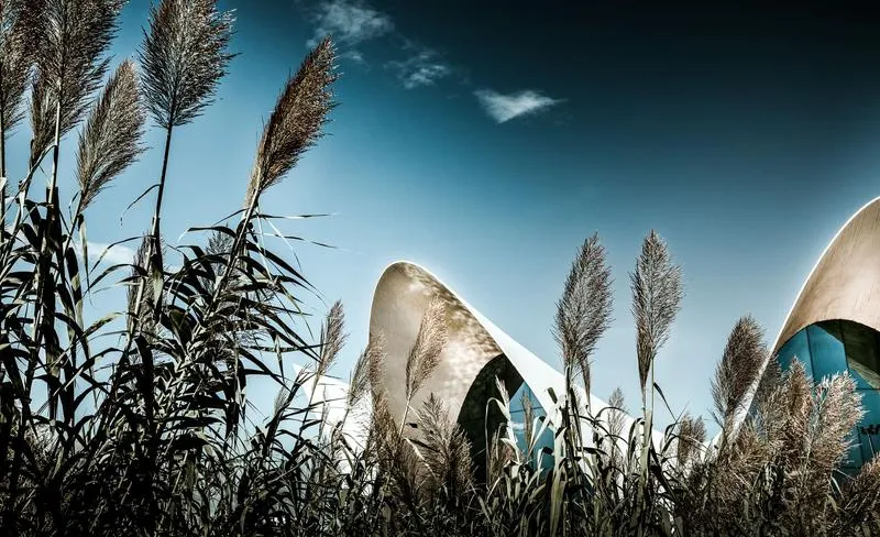 Planowanie podróży do Walencji