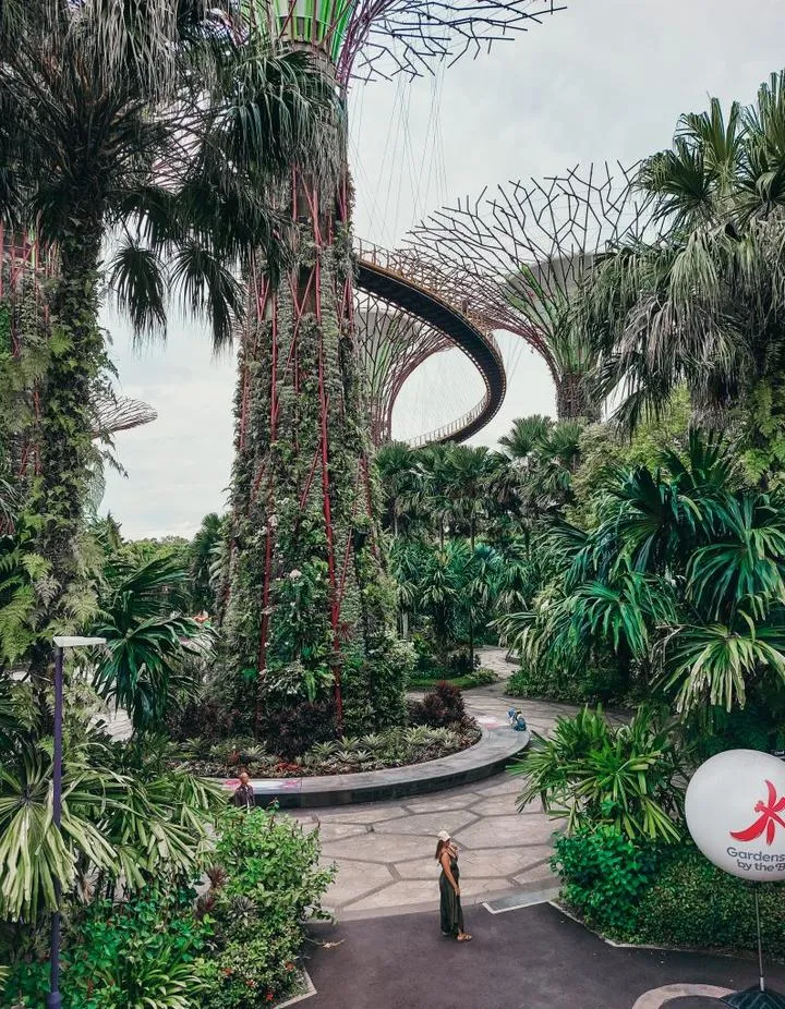 Pogoda w Singapurze przez cały rok