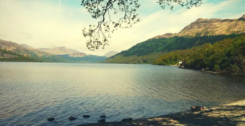 Przepisy wwozu tytoniu do Szkocji