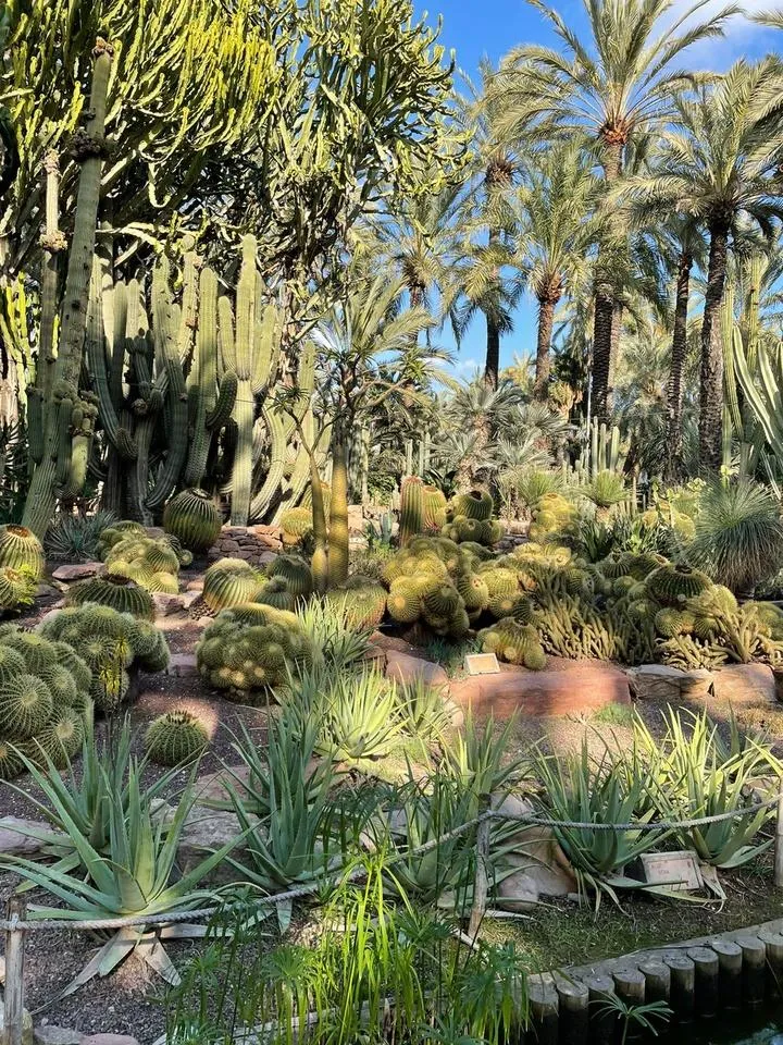 Transport publiczny Alicante